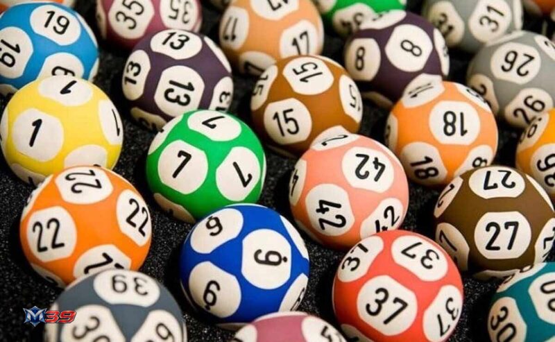 Lottery M39 - Keep Tickets Organised